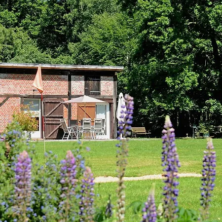 Domaine De La Mesange * Le Mesnil-Durand